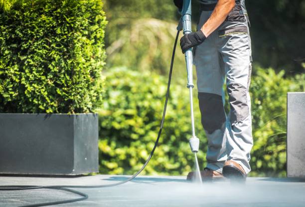Pre-Holiday Cleaning in Longview, WA