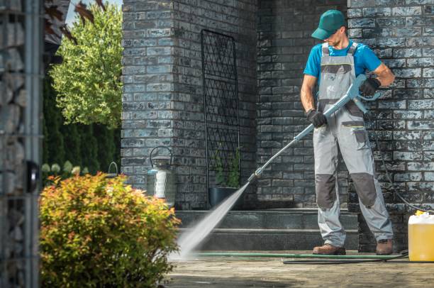 Best Driveway Pressure Washing  in Longview, WA